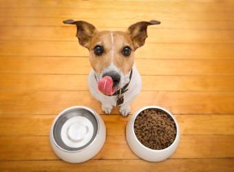Waldorf Emergency Care – Toxic Ingestion